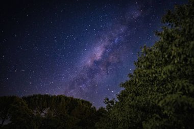 Gece gökyüzünün altındaki ağaçların güzel bir sahnesi Bahçedeki yıldızlarla
