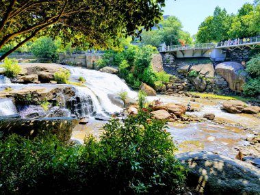 Greenville, Güney Carolina, ABD 'deki Paris Mountain State Park' ın geniş bir görüntüsü.