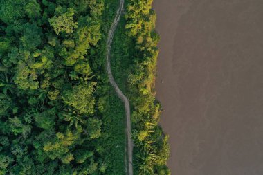 Amazon Nehri boyunca Amazon yağmur ormanlarının hava manzarası.