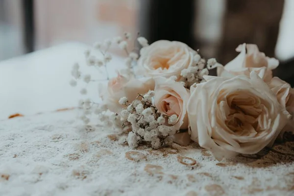 Güzel Güllerin Beyaz Çingene Çiçeklerinin Yakın Çekimi — Stok fotoğraf