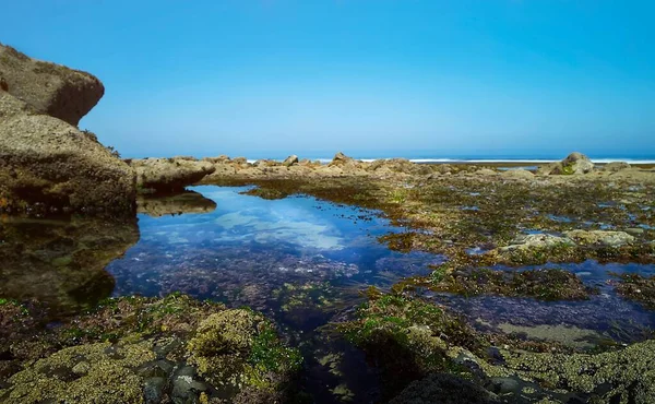 Морской Пейзаж Камнями Берегу Ясное Небо — стоковое фото