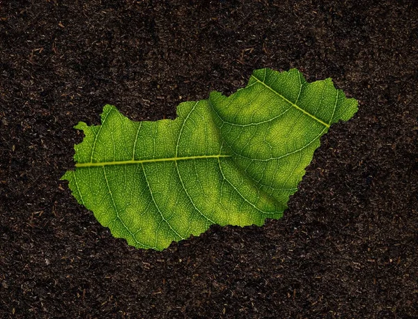 Magyarország Térképe Zöld Levelekből Áll Talaj Hátterében Ökológia Koncepció — Stock Fotó
