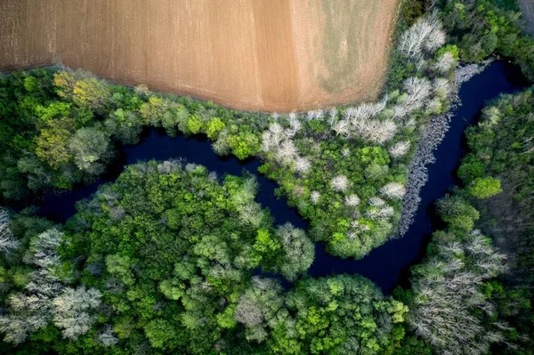Aerial View Narrow River Green Trees Natural Field — Stock Photo, Image