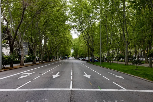 Uma Bela Vista Uma Ampla Rua Vazia Com Árvores Verdes — Fotografia de Stock