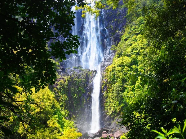 Una Vista Natural Cascada Bosque Nueva Zelanda —  Fotos de Stock