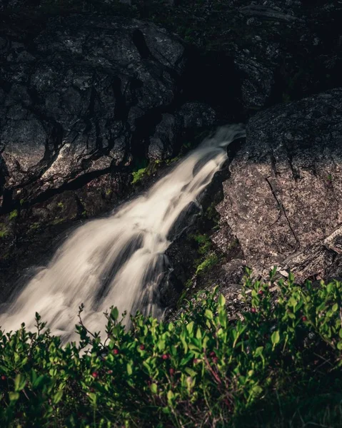 緑の植物の後ろの岩の山の滝の垂直ショット — ストック写真