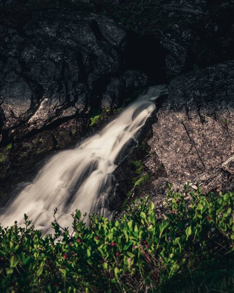 A vertical shot of a waterfall in a rocky mountain behind green plants