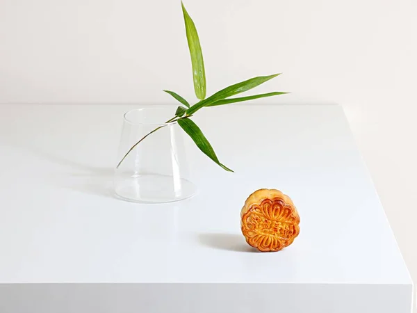 Egy Közeli Kép Egy Holdtortáról Egy Dísznövényről Egy Fehér Asztalon — Stock Fotó