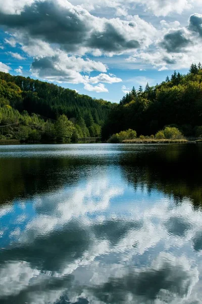 Colpo Verticale Lago Circondato Verdi Foreste Una Giornata Nuvolosa — Foto Stock