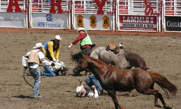 Kovboylar Rodeo Calgary Stampede Alberta Kanada Vahşi Atları Toplamaya Çalışıyorlar — Stok fotoğraf