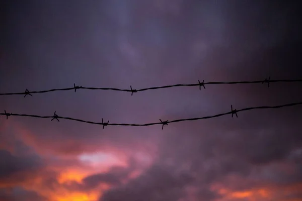 有刺铁丝网围栏 背后是阴沉沉的夕阳天空 — 图库照片