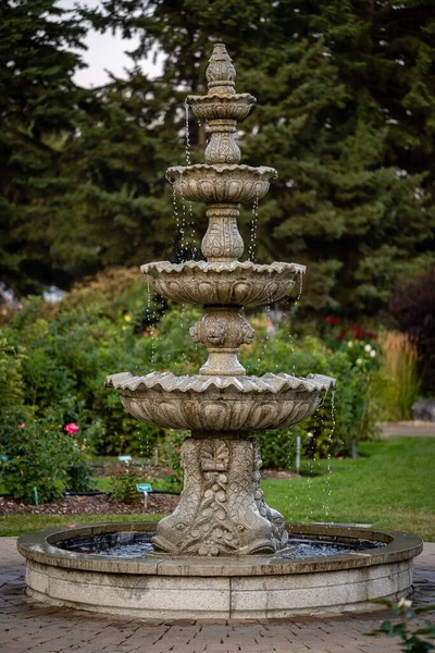 Una Fontana Nel Parco Circondata Alberi Densi — Foto Stock