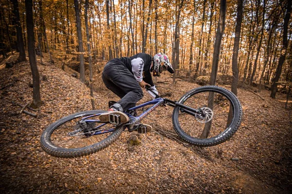 Tiro Cavaleiro Usando Capuz Holeshotpunx Fazer Truques Bicicleta Uma Floresta — Fotografia de Stock