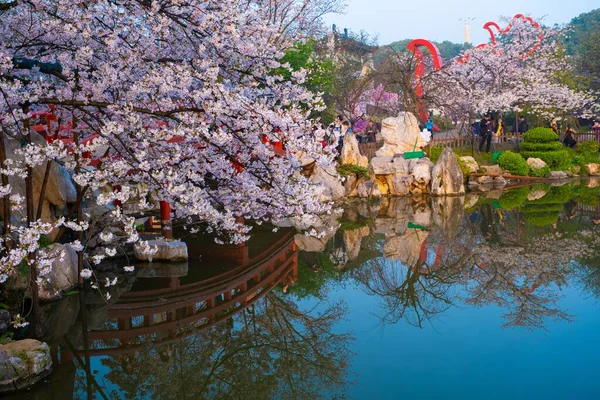 East Lake Cherry Blossom Park Ook Bekend Als Wuhan Moshan — Stockfoto