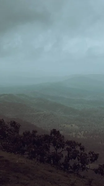 秋の霧の日に丘の垂直ショット — ストック写真