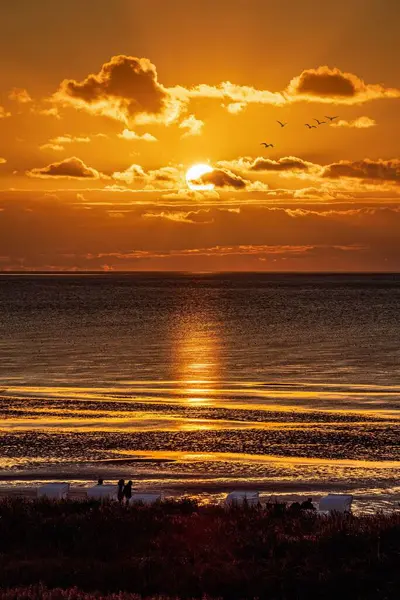 Güzel Bir Günbatımının Dikey Görüntüsü Denizin Yüzeyine Yansıyor — Stok fotoğraf