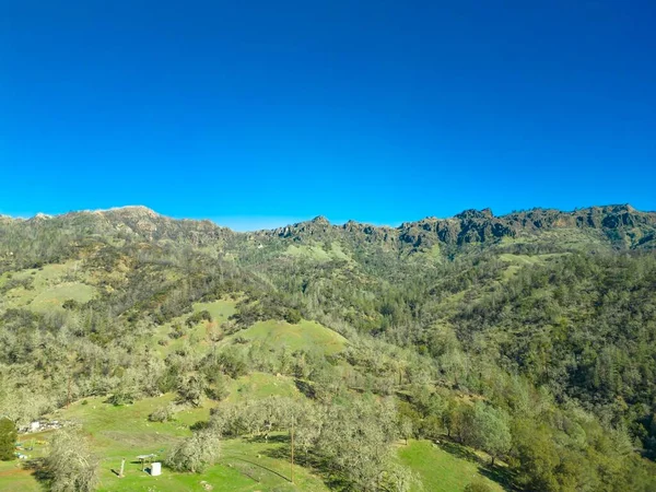 Une Vue Panoramique Montagnes Couvertes Forêt Végétation Sur Ciel Bleu — Photo