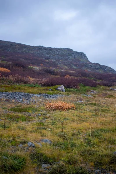 Een Verticaal Shot Van Natuurlijk Landschap Met Berg Bewolkte Lucht — Stockfoto