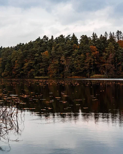 Sonbaharda Ağaçlarla Çevrili Bir Gölün Dikey Görüntüsü — Stok fotoğraf