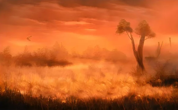 Гипер Реалистичная Иллюстрация Дерева Лугу Закате — стоковое фото