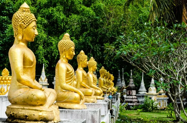 緑の公園に金色の仏像が並んでいる — ストック写真