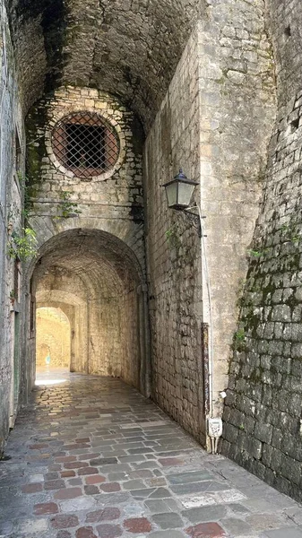 苔むした壁を持つ古代の建物の通路の垂直方向 — ストック写真