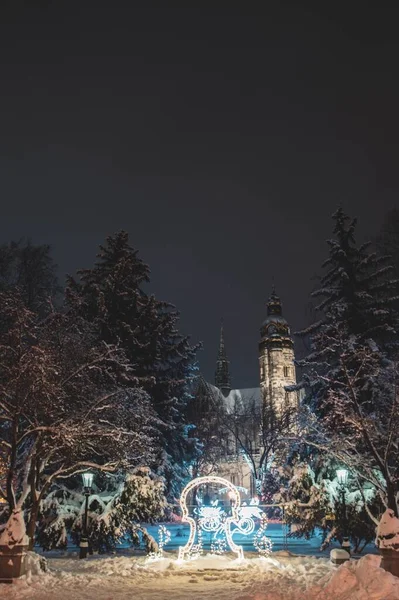 Eine Vertikale Aufnahme Der Weihnachtsdekoration Park Bei Nacht — Stockfoto