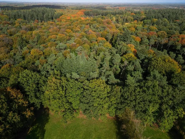 Letecký Snímek Rozsáhlého Lesa Během Podzimní Sezóny Nizozemském Utrechtse Heuvelrug — Stock fotografie