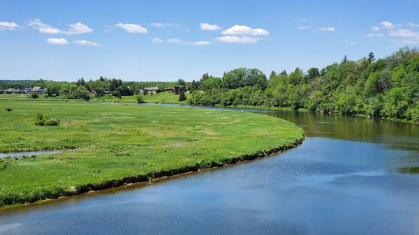 カナダのオンタリオ州セントメアリーズの緑豊かな木々に囲まれた緑のフィールドで川の風光明媚なショット — ストック写真