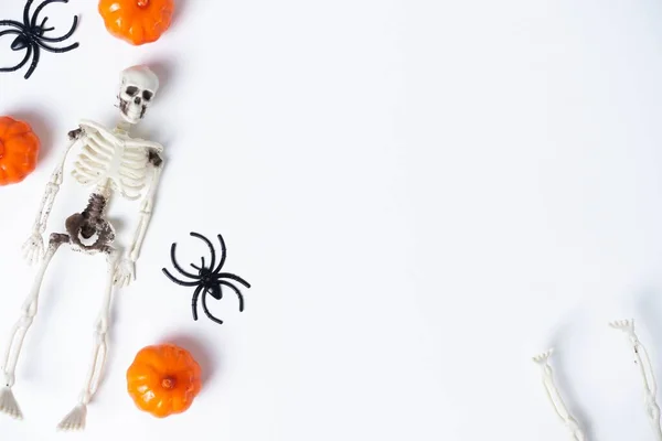 Ein Halloween Hintergrund Mit Skeletten Spinnen Und Harzkürbissen — Stockfoto