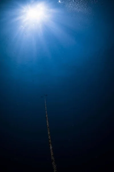 Een Onderwateromgeving Met Reflectie Van Zonlicht — Stockfoto