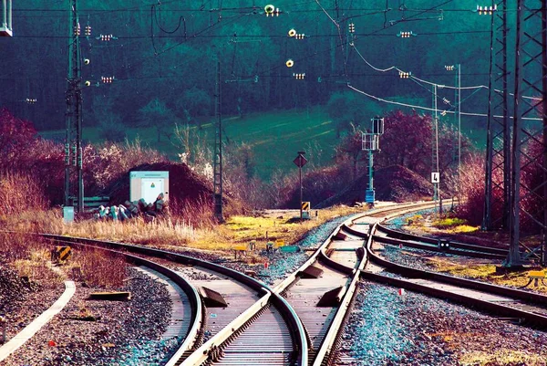 Percorsi Ferroviari Vuoti Immersi Nel Verde Una Giornata Sole — Foto Stock