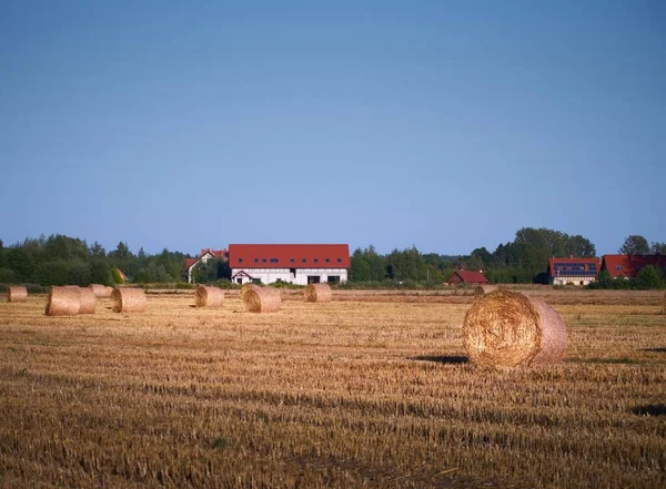 Rural Hay Bales Field Small Building Background Blue Sky — Stock Photo, Image