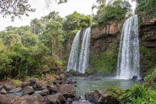 Une Scène Paysage Cascades Iguazu Avec Des Arbres Tombant Sur — Photo