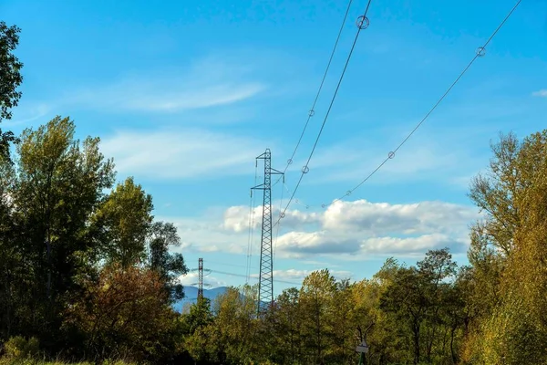 緑の木の間の送電塔 — ストック写真