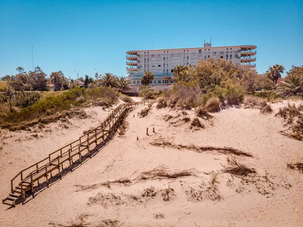 Sand Land Plants Hotel Casino Floresta Fondo Sunny Day — Stock Photo, Image
