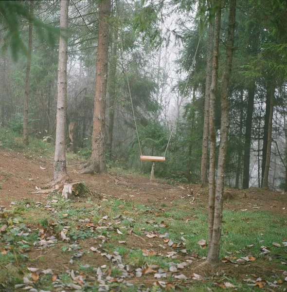 Μια Ξύλινη Κούνια Στη Μέση Του Δάσους — Φωτογραφία Αρχείου