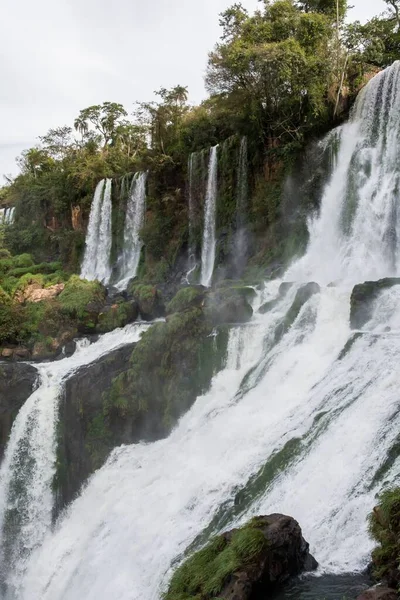 Krajina Iguazu Vodopády Stromy Argentině Vertikální Záběr — Stock fotografie