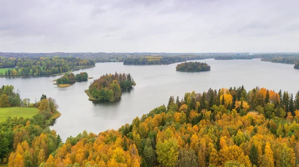 Una Antena Del Hermoso Lago Rodeado Por Colorido Bosque Sombrío — Foto de Stock