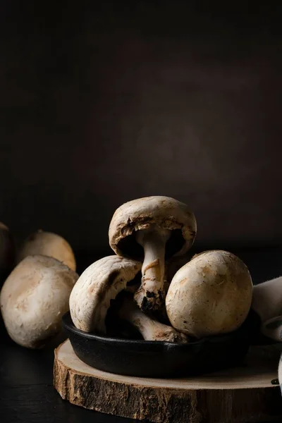 Belo Closeup Cogumelos Frescos Uma Placa Madeira Fundo Escuro — Fotografia de Stock