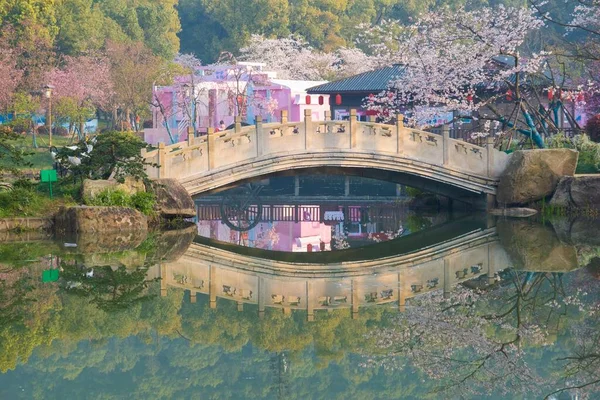 East Lake Cherry Blossom Park Ook Bekend Als Wuhan Moshan — Stockfoto
