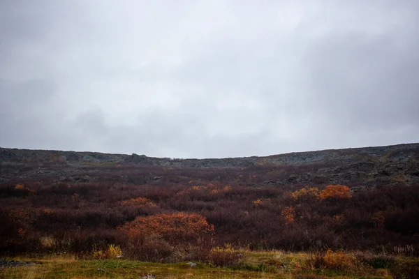 Přírodní Krajina Horskou Mlhavou Oblohou Během Podzimu Ruském Murmansku — Stock fotografie
