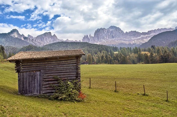 Eine Alte Holzhütte Inmitten Einer Grünen Wiese Südtirol Italien — Stockfoto
