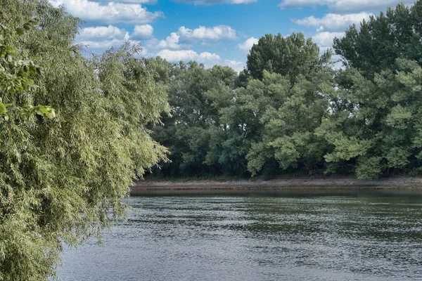 Ağaçlarla Çevrili Güzel Bir Nehir Görüntüsü — Stok fotoğraf