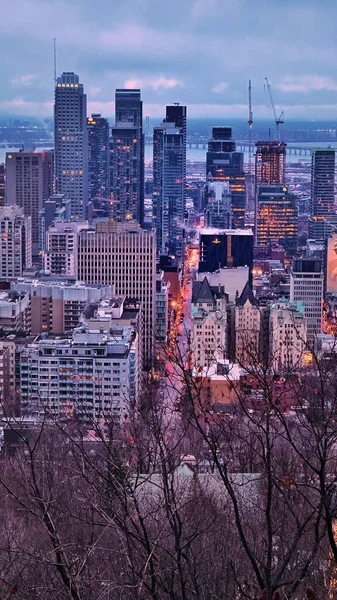 Vertikální Záběr Mrakodrapů Městě Pod Zataženou Oblohou Večerních Hodinách — Stock fotografie