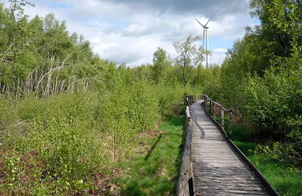 Wooden Brown Path Lush Green Forest Wind Turbines Eifel Region — Stock Photo, Image