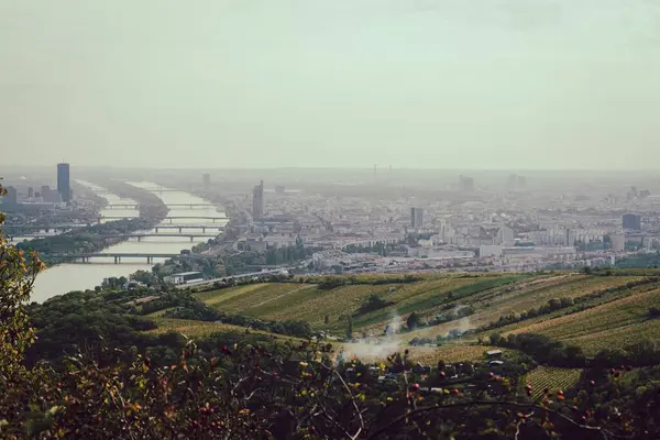 Een Antenne Uitzicht Een Stadsgezicht Een Rivier — Stockfoto