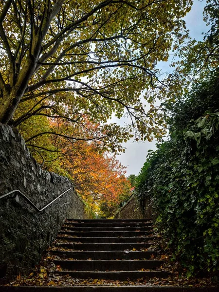 Vertikale Aufnahme Einer Treppe Die Von Herbstbäumen Umgeben Ist — Stockfoto