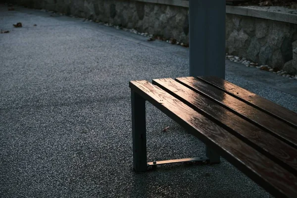 公園内のアスファルトの通路のベンチ — ストック写真