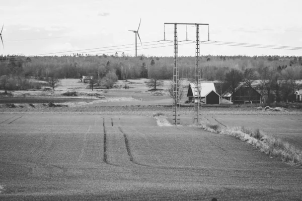Una Hermosa Vista Escala Grises Del Campo Con Turbinas Eólicas —  Fotos de Stock